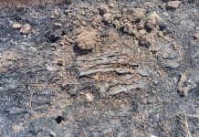 बावनबिर शिवरात गव्हाला आग लागून ठिंबक नळी खाक