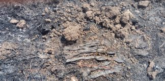 बावनबिर शिवरात गव्हाला आग लागून ठिंबक नळी खाक